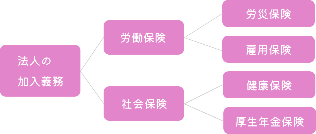 法人の加入義務から各種保険への樹形図